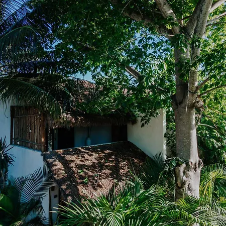 Icastico Tulum