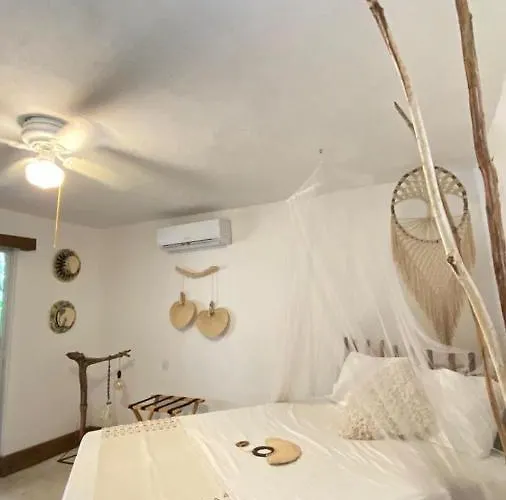 Hotel Icastico *